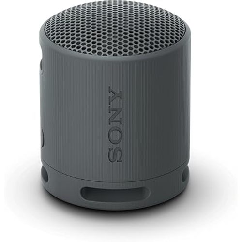 Sony SRS-XB100 Wireless Bluetooth Portable Lightweight Speaker, Black