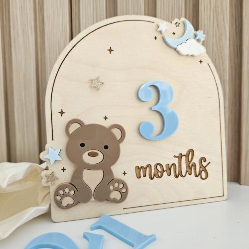 Teddy Bear Monthly Milestone Discs | Baby Monthly Discs for Photos | Interchangeable Numbers Monthly Photo Prop Set | Newborn Photo Props