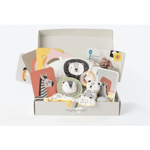 Taf Toys Newborn Kit 0m+ in Multi