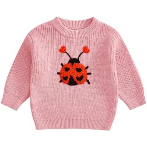 Toddler Girl Ladybug Sweaters Long Sleeve Embroidery Ladybird Jumpers Knit Pullover Tops Infant Baby Valentines Outfit