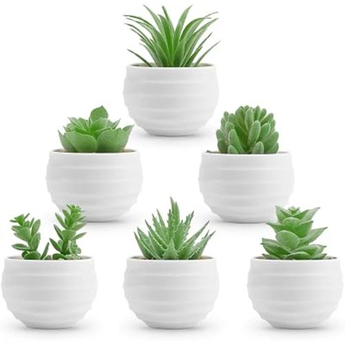 Der Rose 6 Pack Mini Fake Succulent Plants in White Pots for Room Decor