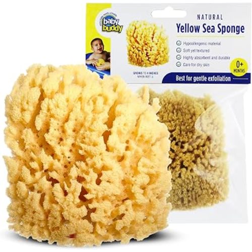 Baby Buddy (1 Count, 4 Inch) Natural Yellow Sea Bath Sponge, Natural Baby Bath Sponge for Newborns and Kids, Soft When Wet, Absorbent, Biodegradable, Hypoallergenic