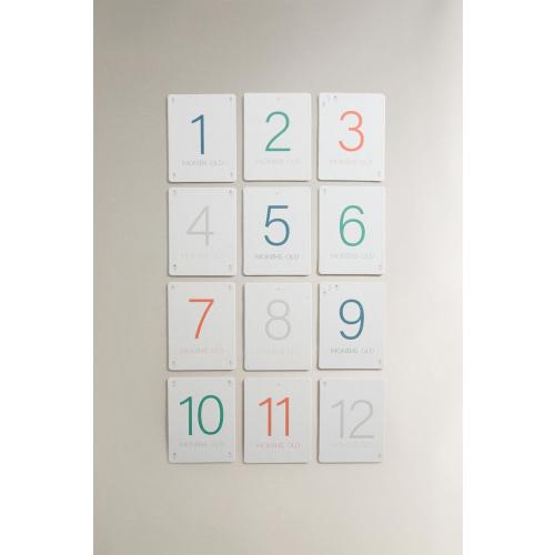 BABY MONTHLY MILESTONE KIT – 12 FLOWER CARDS - Multicolored | ZARA United States