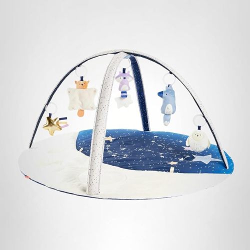 Skip Hop Baby Play Gym Montessori-Inspired 3-in-1 Sensory Tummy Time Activity Mat with 25+ Developmental Activities 4 Toys and 5 Parent Guide Cards with Stage-Based Activities Discoverosity Age 0-2y