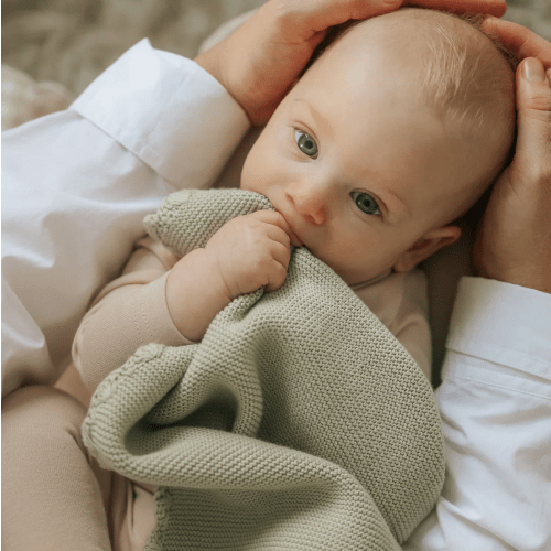 Baby Knit Blankets – Gooselings