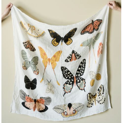 Butterfly Collector Swaddle