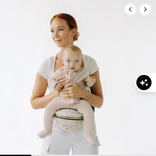 The Tushbaby Hip Carrier