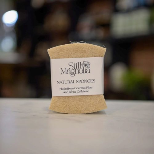 Natural Sponges - Set of 3