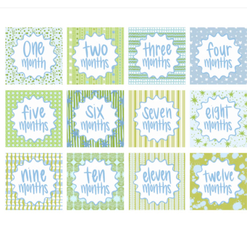 Baby Blues Milestone Cards | Over The Moon