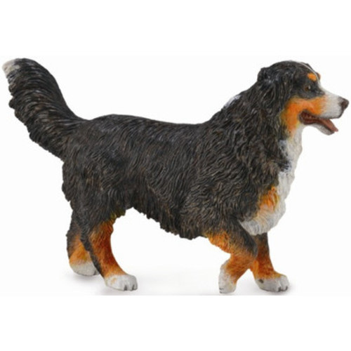 CollectA Bernese Mountain Dog #88801 - High Textured Coat