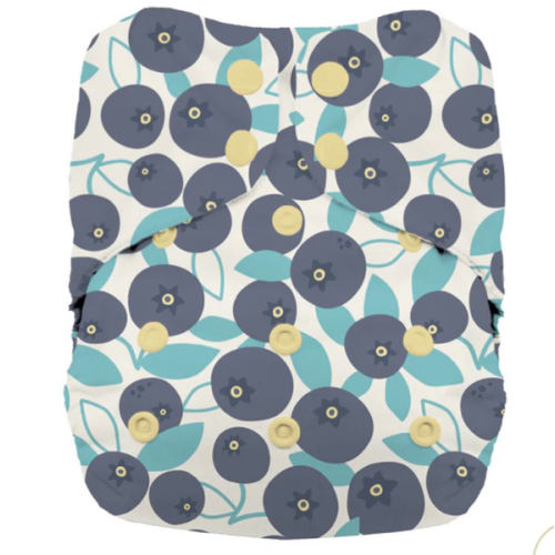 Thirsties Natural One-Size All-in-One Diaper - Snaps