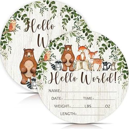 Birth Stat Sign for Newborn, Woodland Animals Baby Announcement, Forest Hello World Name Sign for Hospital Birth Announcement, Gift for New Mom, Baby Shower, Pregnancy Announcement, Photography Prop