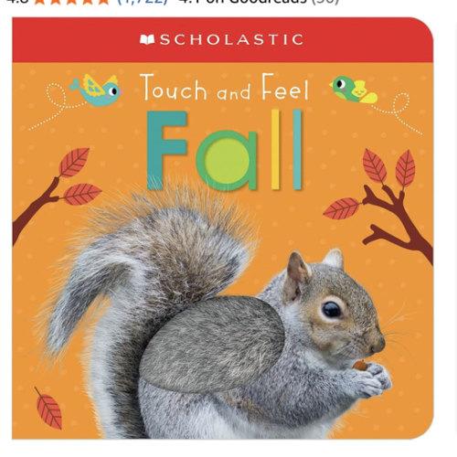 Touch and Feel Fall: Scholastic Early Learners (Touch and Feel)