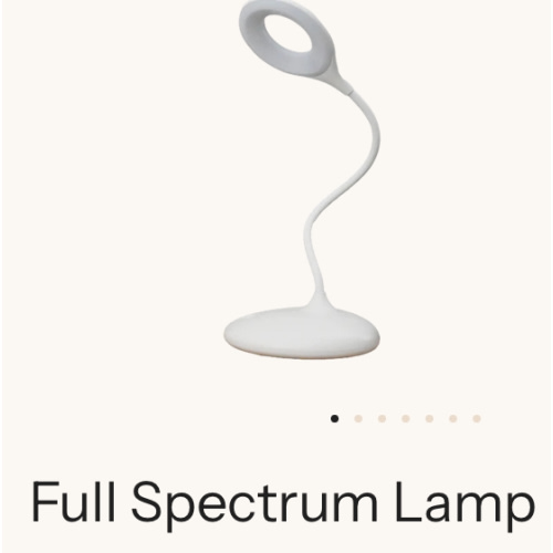 Full Spectrum Lamp (White) | Flicker Free & Low EMF – Bon Charge