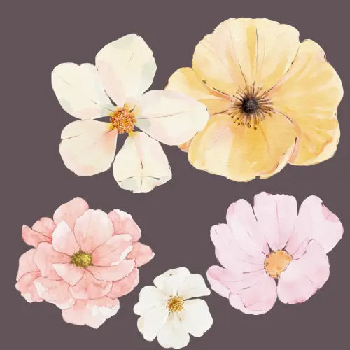 Cascade Doula Care Services