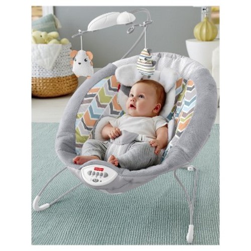 Fisher-Price Sweet Snugapuppy Dreams Deluxe Bouncer