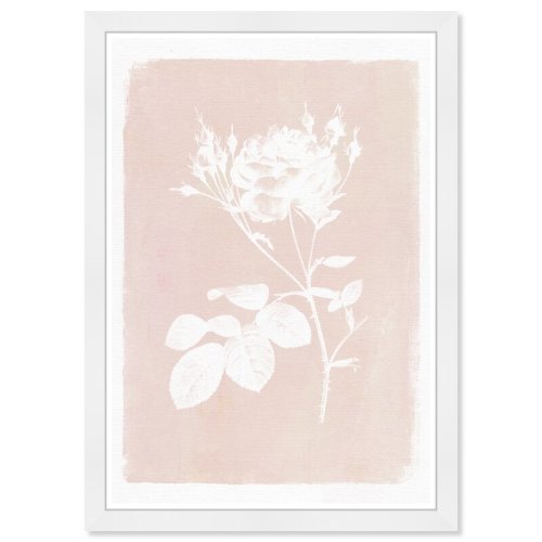 Olivia's Easel Botanical Illustration Iii Framed Art | Wayfair