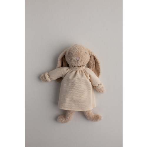 The Little Bunny