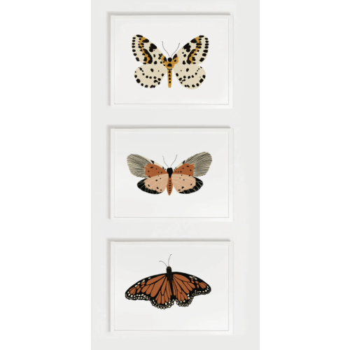 Butterfly Art Bundle
