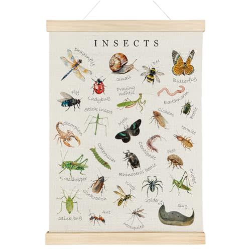 Nrleey Insects Poster Hanger Frame - Educational Wall Art, Kids Room Nursery Classroom Decor, 12x16 Inches