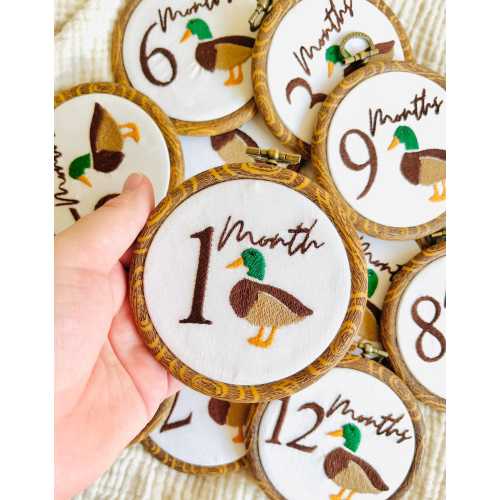 Baby Milestone Hoops, Baby Monthly Photo shoot prop, Baby Month Markers, Duck Nursery Decor, Baby Boy Gift Idea, Mallard Hoop Set, Gift for