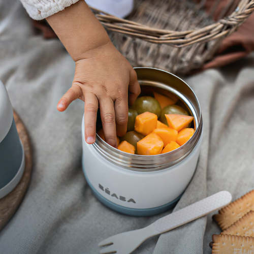 Stainless Steel Insulated Food Jar 10 oz