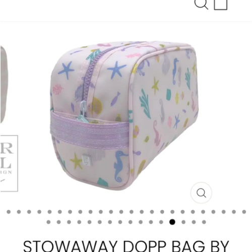 Stowaway Dopp Bag by TRVL