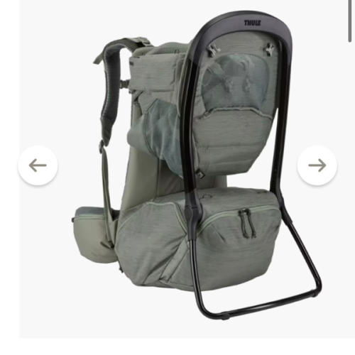 Thule Sapling Child Carrier | REI Co-op