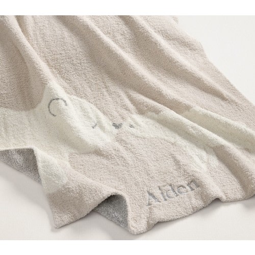 Fuzzy Bear Baby Blanket