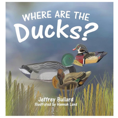 Where Are the Ducks?