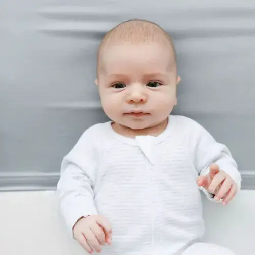 Silk Crib Sleeve in Mist