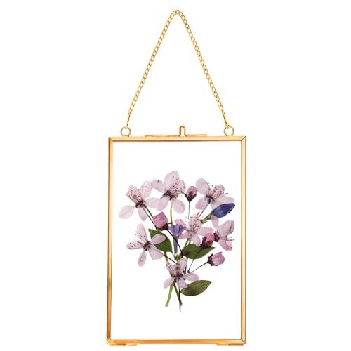 REDHUGO Hanging Pressed Flower Frames, Double Glass Floating Picture Frame Handmade, Glass Frame for Pressed Flowers, Vintage Brass Picture Frame for Artwork Wall Display Mount, Gold, 4x6 Inches