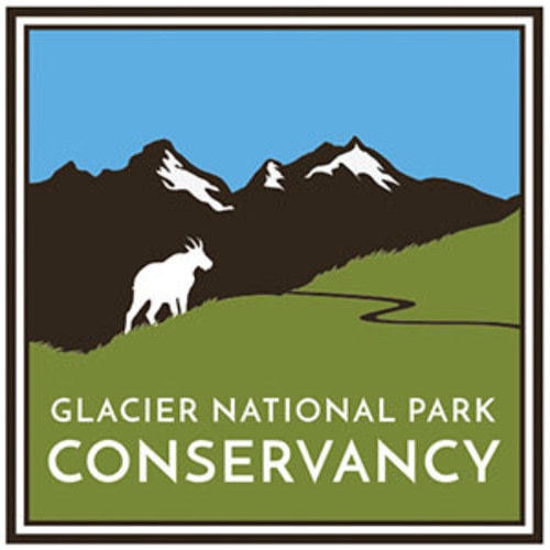 mountain goat- glacier national park conservancy