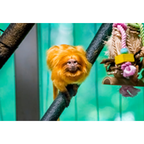 Milwaukee County Zoo