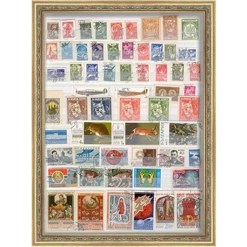 16x20 Ornate Gold 1" Deep Shadow Box Frame - Interior Size 16x20 by 1 Inch Deep - Ornate Gold 1" Made to Display Items Up To 1 Inch Deep! Includes Shatter Resistant Acrylic Front, Backing, Hardware