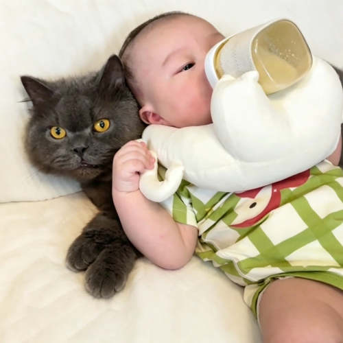 Baby Bottle Feeding Holder | Supervised Feeding Support Pillow Cushion for Twins & Infants 3M+