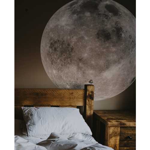 Large Moon Wall Decal. Peel and Stick Decal Sticker. Nasa Space Wall Decor. Kids room decor. Moon Wall Sticker. Nursery Wall Decal. #7001