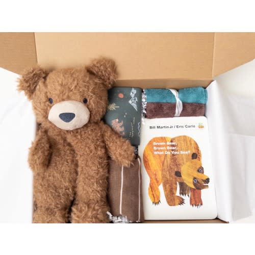 Baby boy gift box, baby boy shower gift, Book, Bodysuits, newborn baby gift, baby gift basket, baby Bear gift basket
