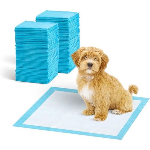 IRIS USA Puppy Pads with Quick-Dry Leak-Proof Design for Potty Training, Regular Size 22x22 Inch, 100 Count