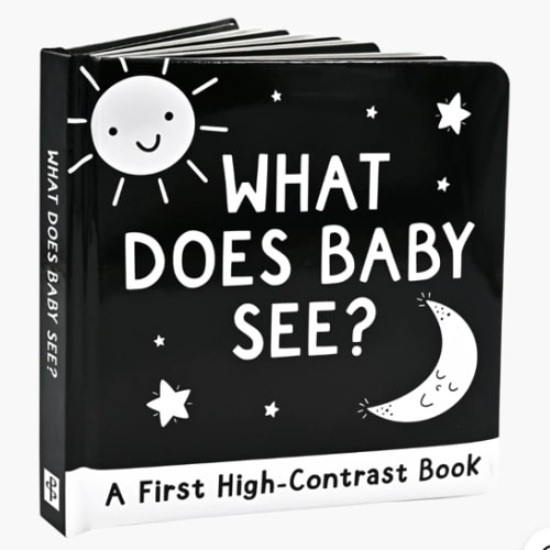 What Does Baby See? A High-Contrast Board Book