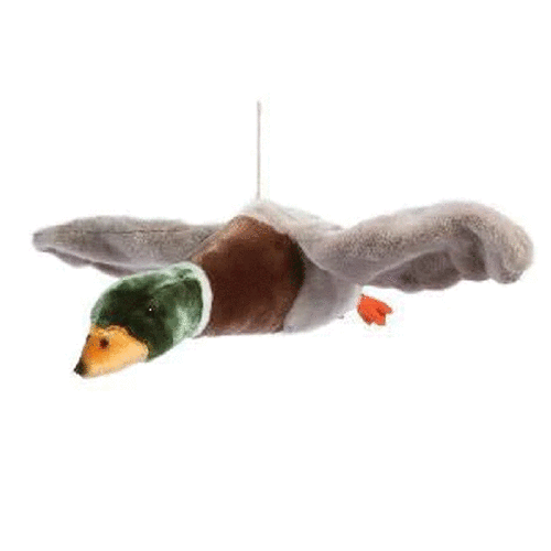 Alain Flying Duck