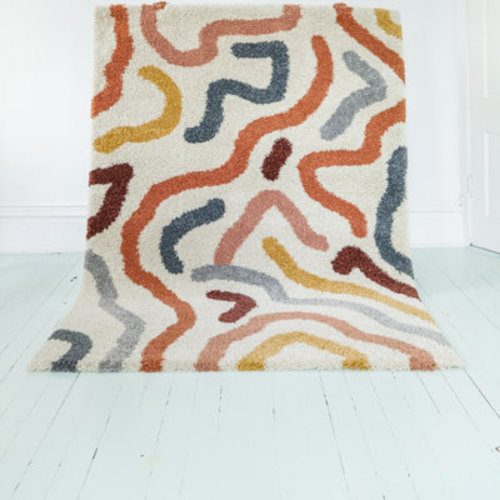Latitude Run® Edlow Contemporary Rainbow Colored Shag Area Rug | Wayfair
