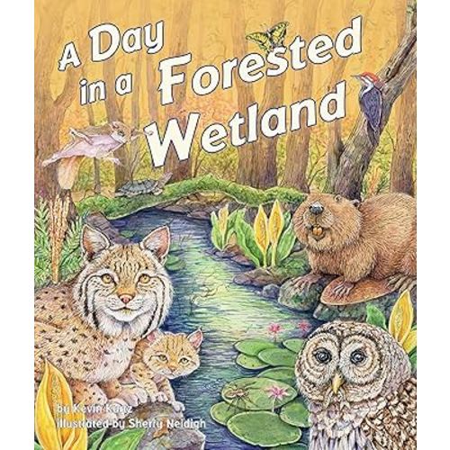 A Day in a Forested Wetland