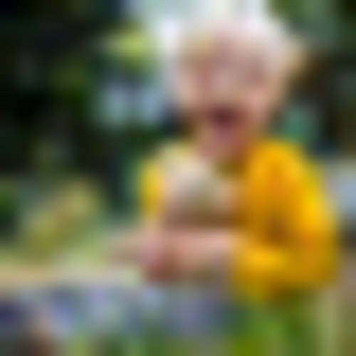 Best Sellers – Bukowski Bears