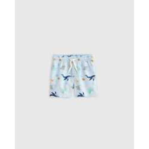 Swim Trunk - Baby in Under the Sea
