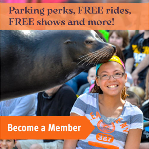 St. Louis Zoo Membership