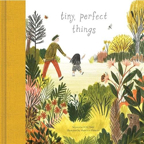 Tiny, Perfect Things Hardcover – Picture Book, June 1, 2018