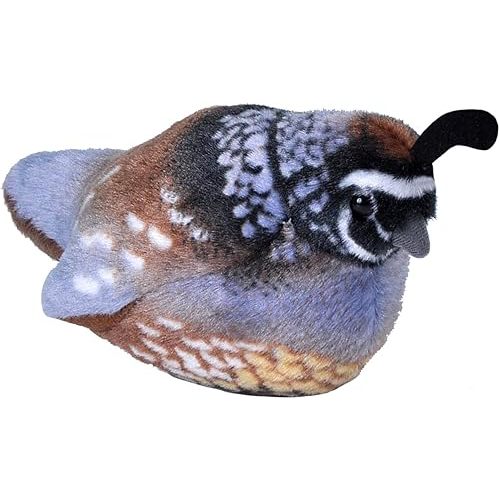 WILD REPUBLIC California Quail