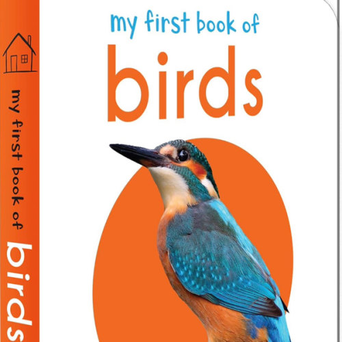 My First Book of Birds: First Board Book