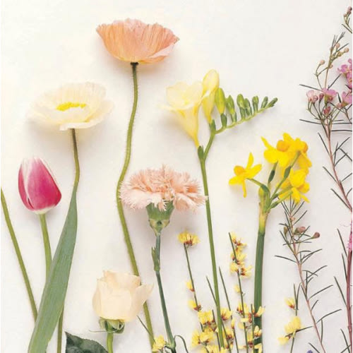 Amazon: Baby Registry